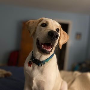 Meet your Posher, Jaymie